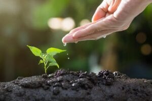 Ekoteologi: antara Teori dan Ironi (Sumber: Pixabay)